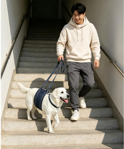 Harnais de Soutien Réglable pour Chiens et Chats avec Support pour les Pattes Arrière pour Animaux Nécessitant une Aide à la Marche - Sling de Levage Durable pour Animaux d'Extérieur - Product Image 4