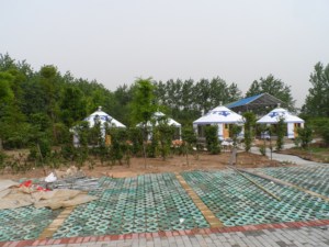 Yurte mongole <span class=keywords><strong>en</strong></span> <span class=keywords><strong>bois</strong></span> de 4,5 m, 5 m, 8 m, utilisée pour le camping <span class=keywords><strong>en</strong></span> plein air - Product Image 5