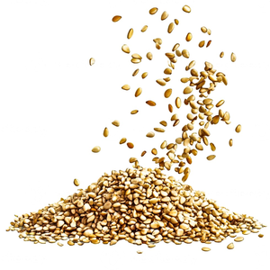 Graines de sésame tanzanien Pelvea à haute teneur en huile, qualité alimentaire, taille 14-32, 24-30% de matière sèche pour la production d'huile et les cosmétiques - Product Image 2