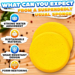 Soddisfazione garantita lavabile biodegradabile rotondo mestiere ceramica spugna di <span class=keywords><strong>pittura</strong></span> per il trucco e la cura della pelle - Product Image 4