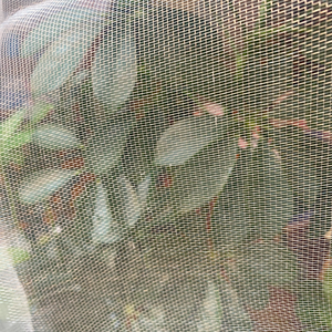 Chim và côn trùng bảo vệ Net/nhựa Net cho nông nghiệp nhà kính - Product Image 1