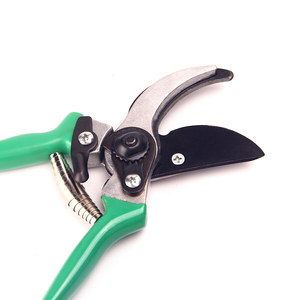 Ciseaux spéciaux de petite taille pour la taille et la mise en forme des bonsaïs, en acier inoxydable, pour couper les branches - Product Image 5