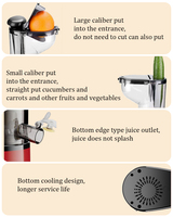 Commerciële Juicer Elektrische Huishoudelijke Suikerriet Afzuigkap Blender Multifunctionele Slow Juicer Mes Slow Juicer