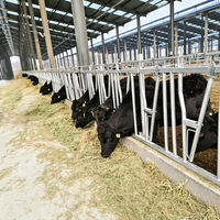 Pengunci Leher Sapi Galvanis Tugas Berat, Pemasangan Mudah, untuk Manajemen Ternak