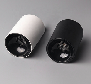 10w 15w 20w 30w 44w 50w 80W 100W IP65 plafonnier LED monté en surface 60w plafonnier haute luminosité ip66 - Product Image 3