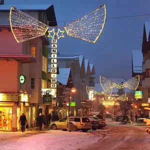 2024最畅销的户外发光二极管大型圣诞图案穿过城市商业圣诞装饰路灯