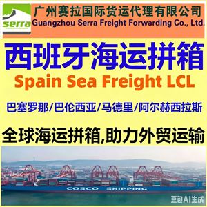 Servicio Puerta a Puerta de Ferrocarril Español Serra, Transporte de Mercancías de Madrid a Guangzhou, Europa - Product Image 3