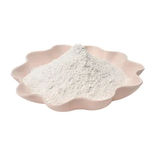 Ultrafine Hot Selling China Factory Coated Calcium Carbonate Bulk Sale For Sealant Shoes