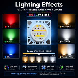 Module LED COB RGBW 24V <span class=keywords><strong>CV</strong></span> 1611 30W Plug-and-Play, CRI 90, sans scintillement, 5 couleurs, pour éclairage d'ambiance intelligent - Product Image 6
