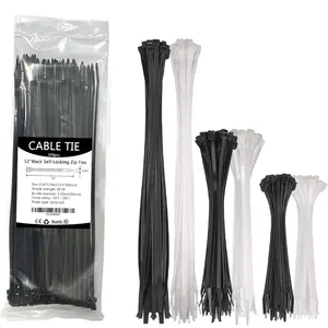 2024 New Type Top Sale Plastic Made From Nylon 66 Cable Zip Tie Tag Fasten