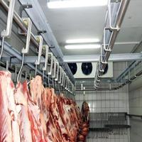 Panneaux de chambre froide avancés congélateur sans rendez-vous système de refroidissement chambre froide pour le stockage de la volaille