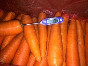 <span class=keywords><strong>2025</strong></span> New tươi Cà rốt Hot Bán Sản phẩm xuất tại Trung Quốc - Product Image 6