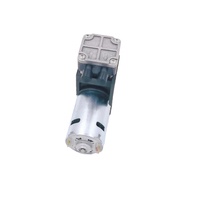 5bar pression 30L/M Mini DC 12V pompe à Piston à diaphragme électrique Portable à piles brosse compresseur d'air OEM 6 mois 10A