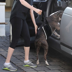 Sling de chien portable pour les jambes arrière, harnais de soutien de la hanche pour aider à soulever l'arrière pour la rééducation du ligament croisé <span class=keywords><strong>K9</strong></span> Canine Aid Old - Product Image 5