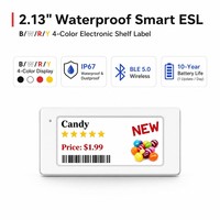 Label Rak Elektronik 2,13 Inci 4-Warna BWRY BLE 5.0 Kontrol Aplikasi Seluler 250x128 E-Paper ESL Label Harga Digital untuk Supermarket