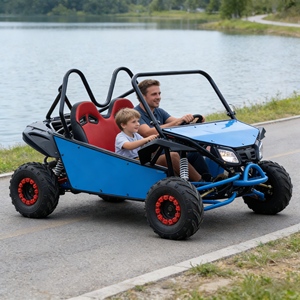Buggy Fuoristrada ad Alta Velocità per Adulti, per <span class=keywords><strong>Montagna</strong></span> e Deserto, Vendita Calda - Product Image 4