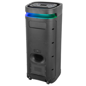 Nhà máy giá rẻ kép 12 inch woofer thời tiết không dây ngoài trời Loud xách tay Battery Powered Power x Công loa - Product Image 4