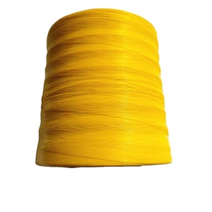 Polypropylene chủ đề Nylon dây câu PP Raffia PE Monofilament sợi - Product Image 6
