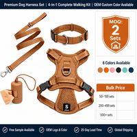 Harnais anti-traction pour chien, collier et laisse, ensemble réglable, gilet réfléchissant pour animaux de compagnie, mode sportive, porte-sac à déjections, pour chiens de petite, moyenne et très petite taille