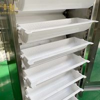 Transportador Elevatório Contínuo Automático Tipo Z com Design Modular de Alimentação e Descarga para Materiais a Granel