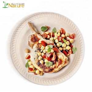 9 Inch White Round Party Corn Starch Food Disposable Biodegradable Plates - Product Image 5