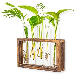 Pflanzen vermehrung stationen Glas Massivholz Desktop Pflanzenst änder - Product Image 2