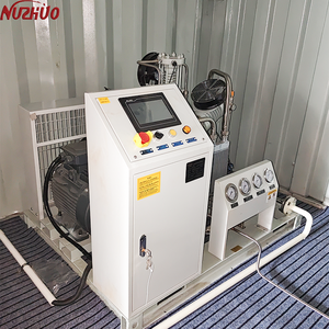 เครื่องอัดก๊าซอาร์กอน Nuzhuo Smooth Operation Argon Booster Compressor 4-200 บาร์ สำหรับสถานีเติมก๊าซกระบอก รองรับการปรับแต่งได้อย่างเต็มที่: แรงดัน ฯลฯ - Product Image 2
