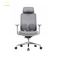 Chaise de bureau ergonomique avec support lombaire, entièrement en maille, réglage de hauteur à vérin, accoudoirs ajustables