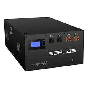 Seplos-Batería de almacenamiento de energía Solar, caja vacía de 200A, BMS, 320Ah, lifepo4, personalizada, 16 Uds., 48V, 280, 230, 206