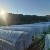 Serre Agricole pour Plantes Vertes, Kit de Serre Agricole, Structure de Serre, Ensemble Complet de Serre