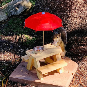 Squirrel Feeder Picnic Table Umbrella Flag Bamboo Corn Cob Holder <b>Peanuts</b> Seeds for Chipmunk Lovers Garden Ornaments Living Room - Product Image 2