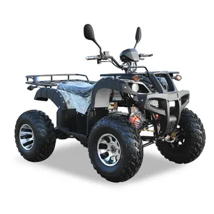 모든 지형 4x4 오프로드 차량 전기 ATVS 쿼드 자전거 성인용 전기 자전거 4 바퀴 cuatrimoto 4000W