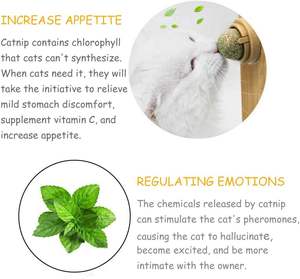 Pelotas Giratorias Interactivas con Catnip - Juguetes para Gatos para Eliminar Bolas de Pelo y Limpiar los Dientes para Gatitos - Product Image 6