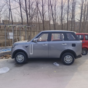 Auto Elettrica Altamente Personalizzabile |   Conveniente <span class=keywords><strong>e</strong></span> Certificato |   Elegante <span class=keywords><strong>e</strong></span> Confortevole | Cinque porte, quattro posti, guida a sinistra <span class=keywords><strong>e</strong></span> guida a destra - Product Image 4