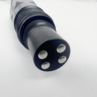 Sensor de Conductividad Digital OEM SALT TDS, Electrodo para Medir la Salinidad del Agua, Medidor de TDS para Acuicultura