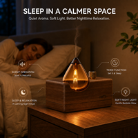 Diffuseur d'huiles essentielles premium HIITII 20 ml, sans eau, en bois, nébulisation, réservoir en verre fait main, rechargeable par USB, pour la maison et l'hôtel