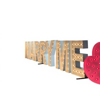 Grandes lettres en mousse métallique, néon LED RGB, ampoules, transformateur, PVC, pour bureaux, magasins, extérieur, mariages, anniversaires, écoles