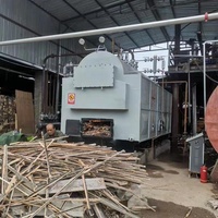 Chaudière à vapeur horizontale DZH 0,5T/h 1T/h 2T/h 4T/h, alimentée au charbon, à la biomasse ou aux copeaux de bois, pour l'industrie agroalimentaire