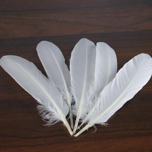 Một lớp chất lượng tốt nhất cầu lông vịt lông ngỗng cho Indonesia Việt Nam - Product Image 3