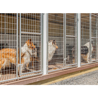 Panneaux soudés de haute qualité personnalisés de 6 pieds 10 pieds Cages de jeu extérieures en métal à usage intensif Grands chenils extérieurs pour chiens et chats