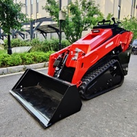Pengiriman Gratis Mini Crawler Skid Steer Loader Euro 5 CE EPA Mesin Diesel Hidrolik Skid Loader Pertanian Skid Loader Kompak