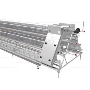 Otomatik tavuk kafesleri yumurta tabakası pil kafesi tarım ekipmanları yumurta toplama dezenfeksiyon sistemi - Product Image 4