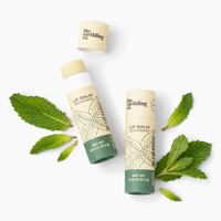 Baume à lèvres écologique logo personnalisé déodorant bâton cosmétique push Up Tube pour crème solaire