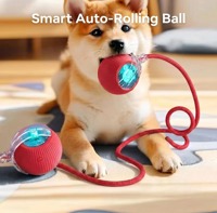 Jouet interactif automatique moderne rechargeable pour chat, balle intelligente avec queue en corde, le meilleur anti-ennui pour chats d'intérieur