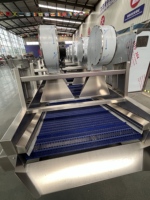 Commerciële fruit- en groentebellenwasser van roestvrij staal, industriële reinigingsmachine