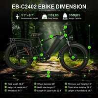 Sepeda Listrik 2000W 48V 20AH 55KM dengan Logo PRINT, Sepeda Listrik 24 Inci, Buatan China