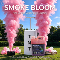 Liquide de fumée colorée de haute qualité, huile liquide pour machine à fumée colorée, capacité de 2 litres