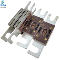   Fusible à action rapide ANN-200 200A 125VAC 80VDC pour protection de circuit de batterie de chariot élévateur
