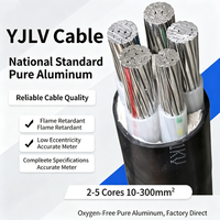 Câble d'alimentation en aluminium XLPE, norme IEC 60502, certifié ISO CE, gaine en PVC pour réseau de distribution d'énergie industrielle souterrain