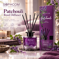 Ensemble diffuseur de parfum en verre pour la maison avec bâtonnets en rotin, décoration d'hôtel, étiquette privée, emballage personnalisé OEM